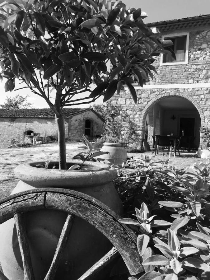 Podere Il Sasso Barberino di Mugello Exterior photo