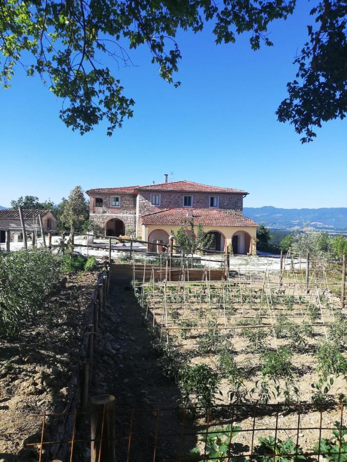 Podere Il Sasso Barberino di Mugello Exterior photo